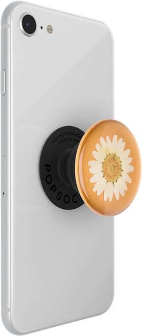Actual product image PopSockets Pressed Flower Daisy