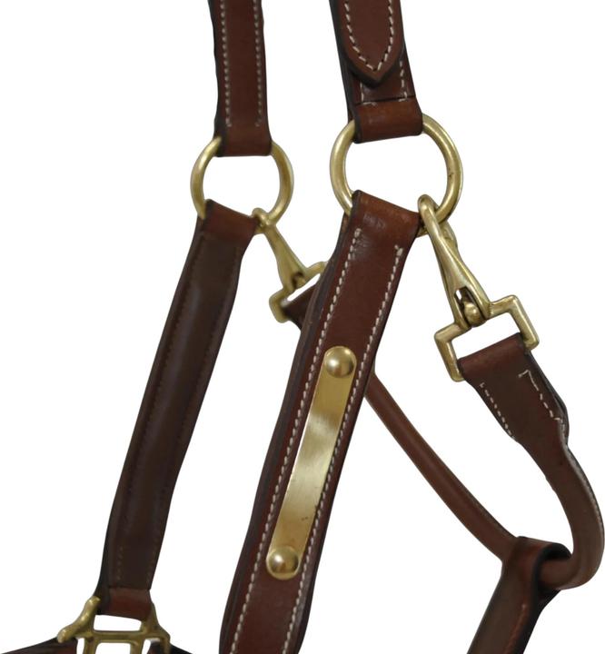 Image du produit TdeT Licol pour cheval en cuir avec plaque