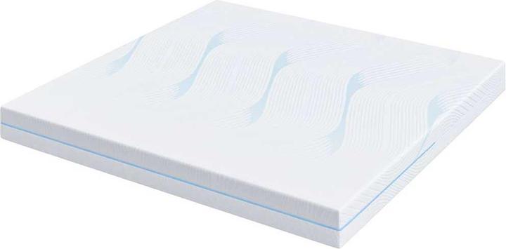 Actual product image vidaXL Foam mattress (180 x 200 cm, Foam core)