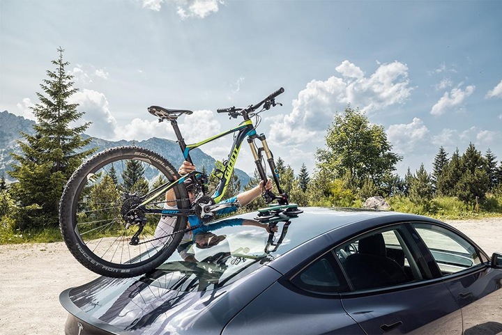 Produktbild TreeFrog Bike Rack Pro 1