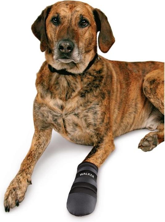 Produktbild Trixie Pfotenschutz Walker Care (3XL, Hundeschuhe)