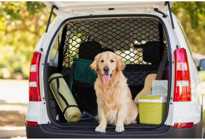 HP Autozubehör Kofferraumnetz (Hund, Sicherheitsverschluss)