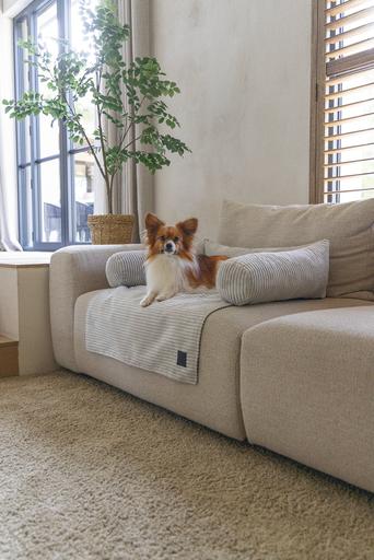 Immagine prodotto Designed by Lotte Cuscino per divano a coste (Cane)