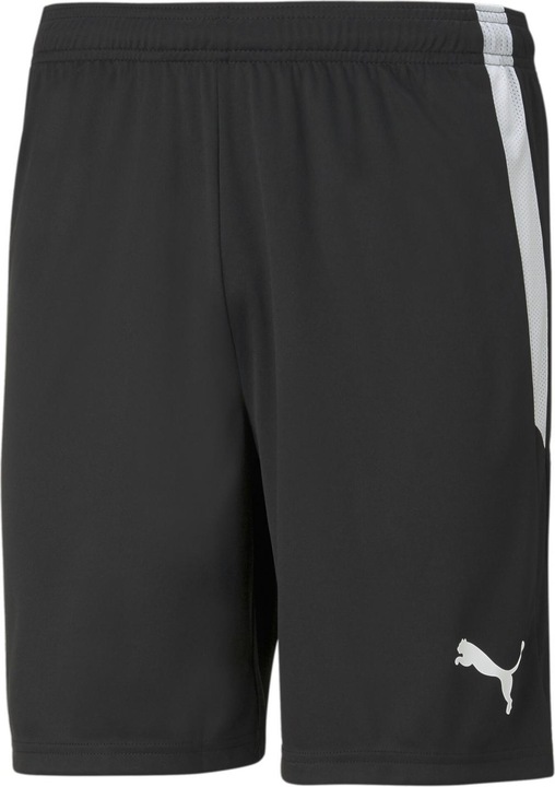 Produktbild Puma teamLIGA Shorts-704924 (48 E)