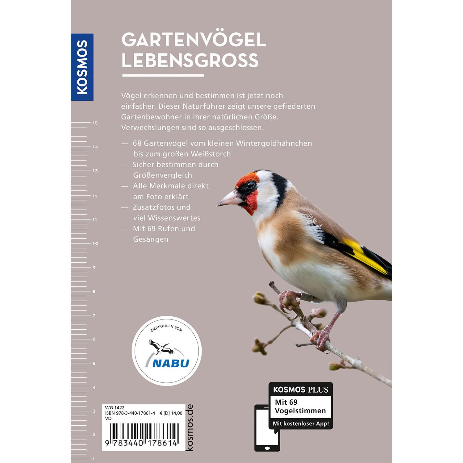 Thumbnail - Gartenvögel lebensgross, Ratgeber von Daniela Strauß