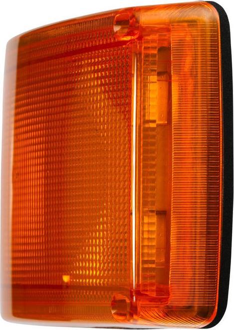 Actual product image Hella Halogen indicator for MACK