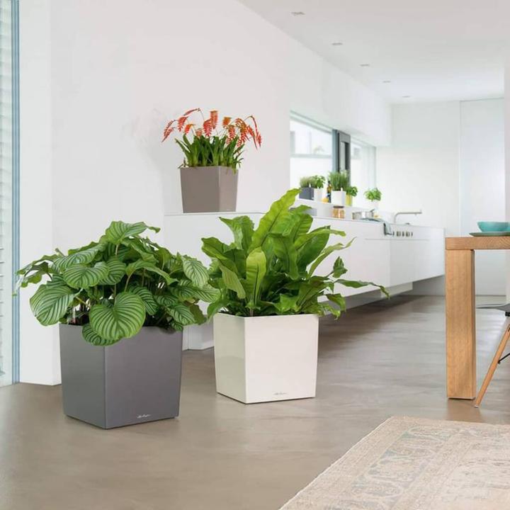 Produktbild Lechuza Cube 30 (29.50 x 29.50 x 30 cm)