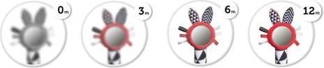 Actual product image Canpol Sensory Pram Toy