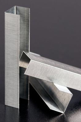 Actual product image Rapid Standard (5000 x)