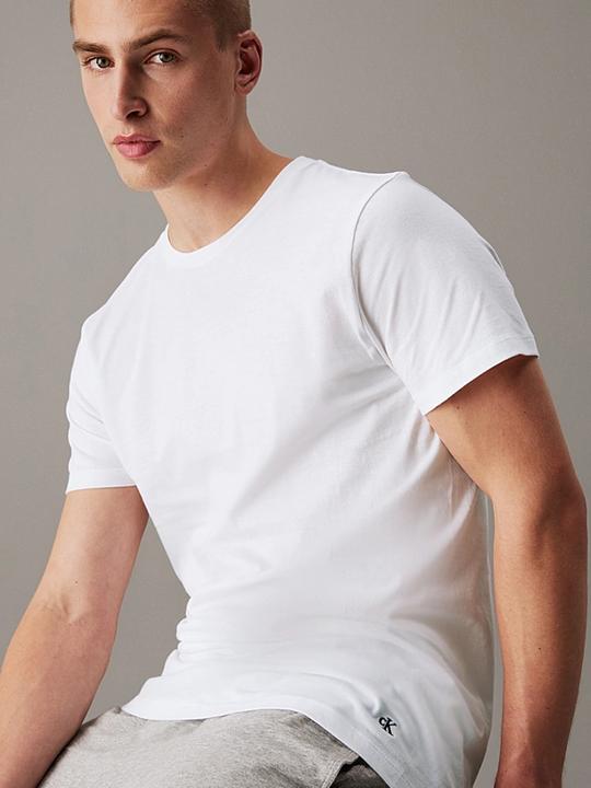 Produktbild Calvin Klein Trunk (L)