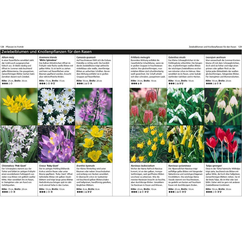 Thumbnail - Rasen und Bodendecker, Ratgeber von Simon Akeroyd