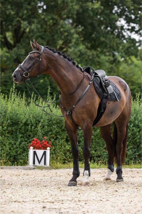 Actual product image Kerbl Vorderzeug schwarz, Cob