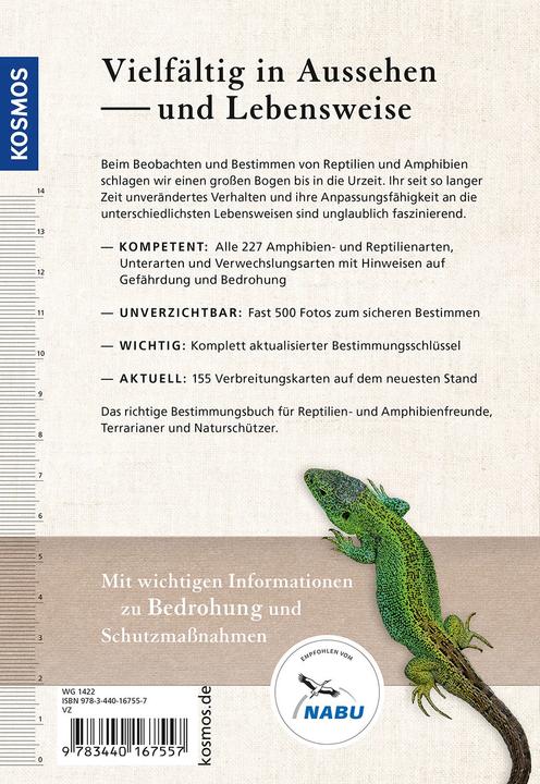 Produktbild Kosmos Reptilien und Amphibien Europas (Deutsch, Axel Kwet, 2022)