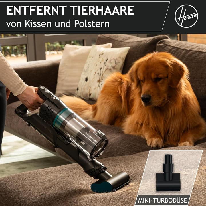 Actual product image Hoover HF1P10P 011