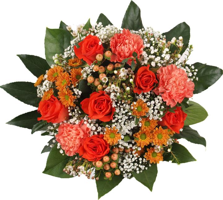 Floramall Ambiente (Cut flowers)