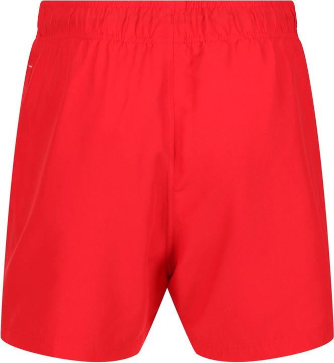 Produktbild Regatta Mawson II Kurze Hose (XL)