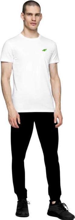 Produktbild 4F Herren-T-Shirt (L)