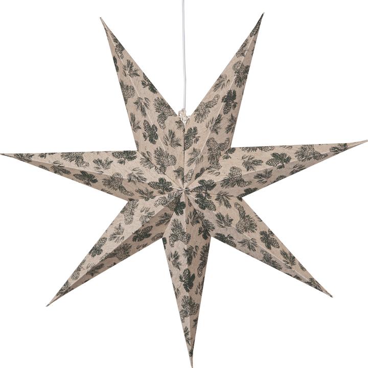 Image du produit Star Trading Papierstern Cotton