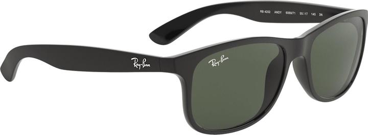 Produktbild Ray Ban Rb4202