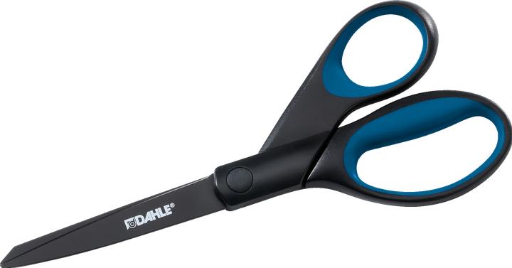 Image du produit Dahle Ciseaux 21 cm (20 cm)