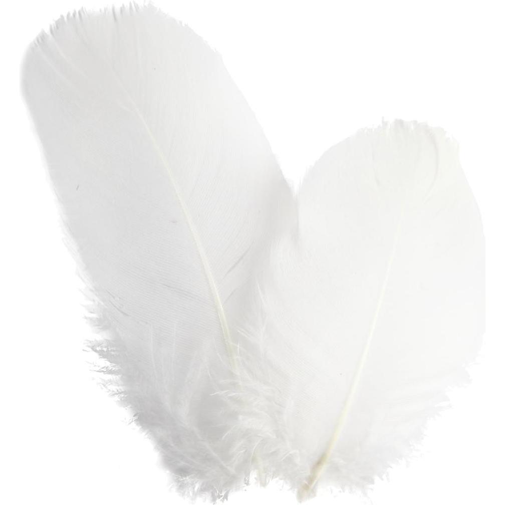 Creativ Company Goose feathers, round