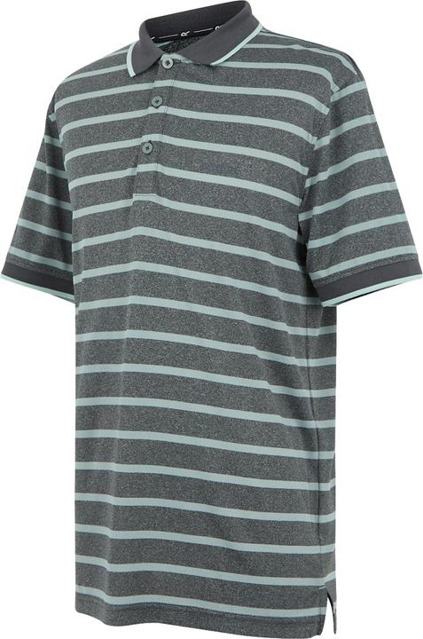 Produktbild Regatta Kildra Poloshirt (S)