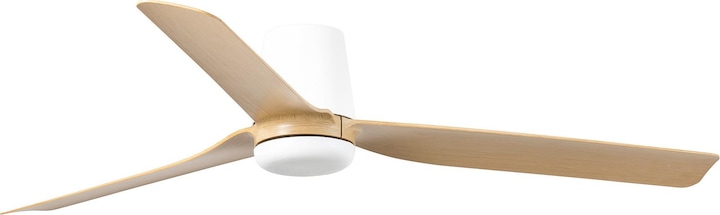 Actual product image Faro DC Deckenventilator Punt Tub WE-AH