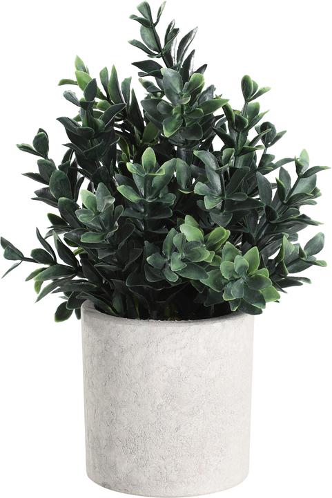 EGLO LIVING Chitose (23 cm)