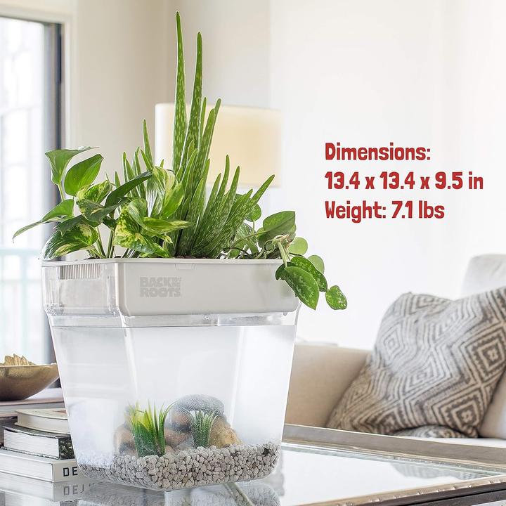 Actual product image Back to the roots voor kruiden, microgreens, bamboe, vetplanten en kamerplanten, groen, 3 gallons