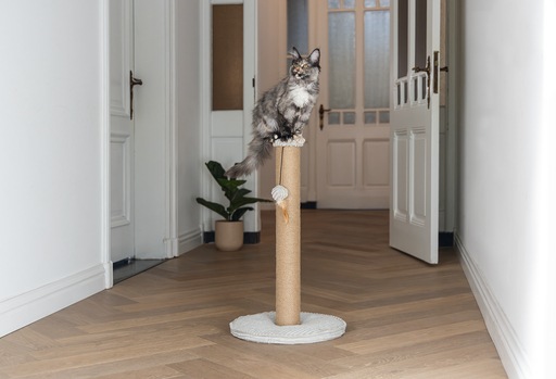 Actual product image Designed by Lotte Scratching post (70 cm, Light grey)