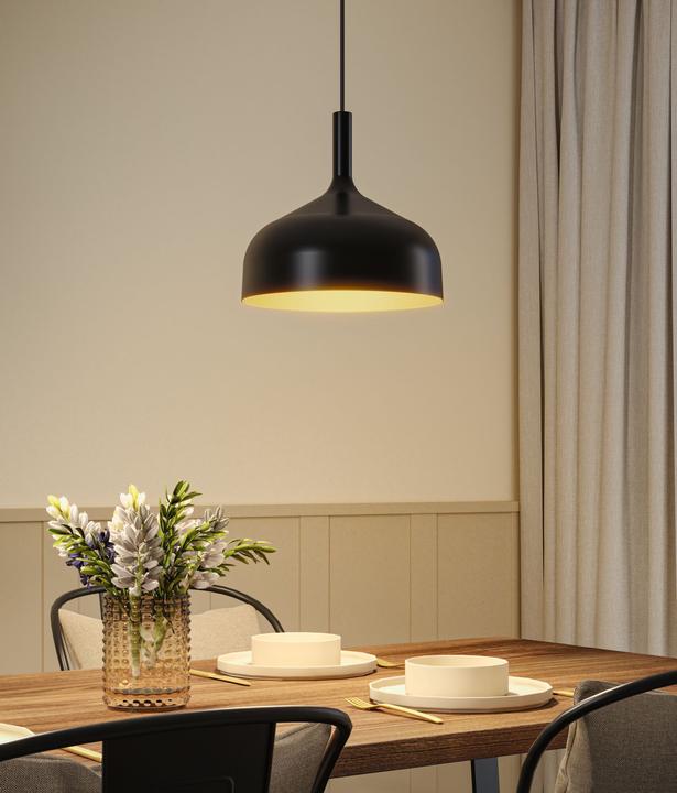 Produktbild Paulmann Embla II (E27)