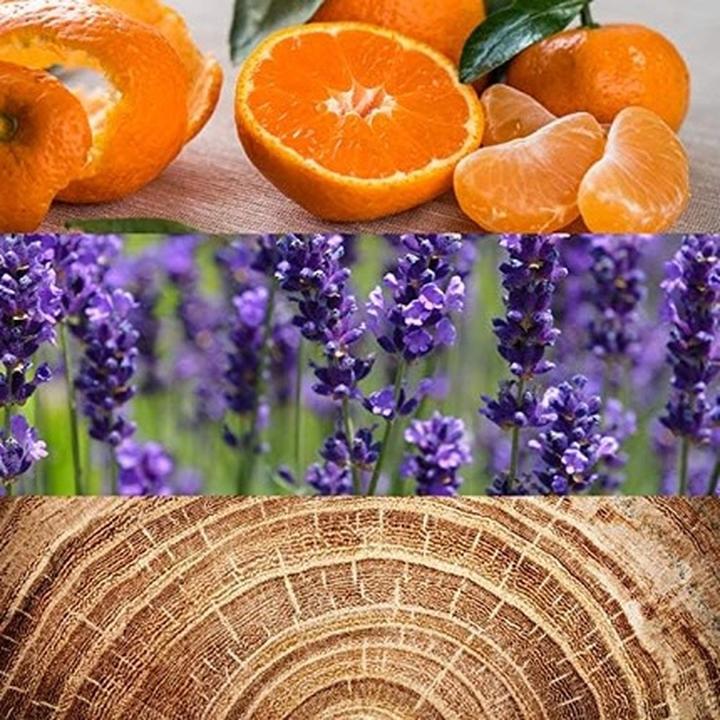 Produktbild Calvin Klein OBSESSION by (Eau de Toilette, 120 ml)