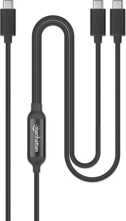 Actual product image Manhattan Dual USB-C Ladekabel 100 W, 2 m (2 m, USB 3.0, 100 W)