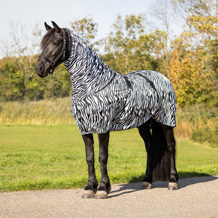 Actual product image Qhp Big neck (185 cm)