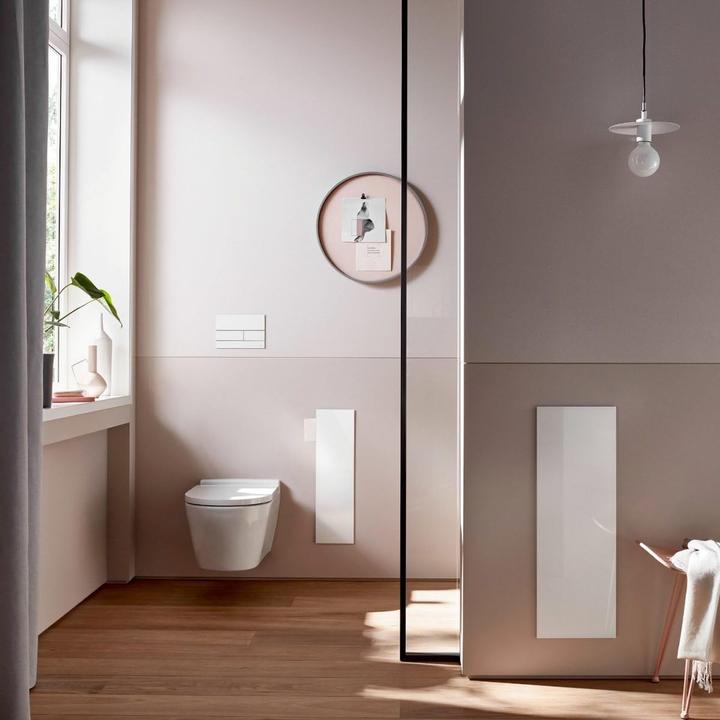 Produktbild Emco asis pure Toilettenbürstengarnitur Modul, Unterputzmontage, Türanschlag rechts, Glasfront