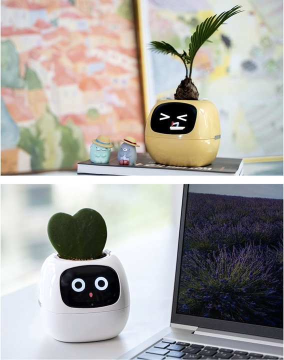 Produktbild Plantsio Ivy Smart Planter