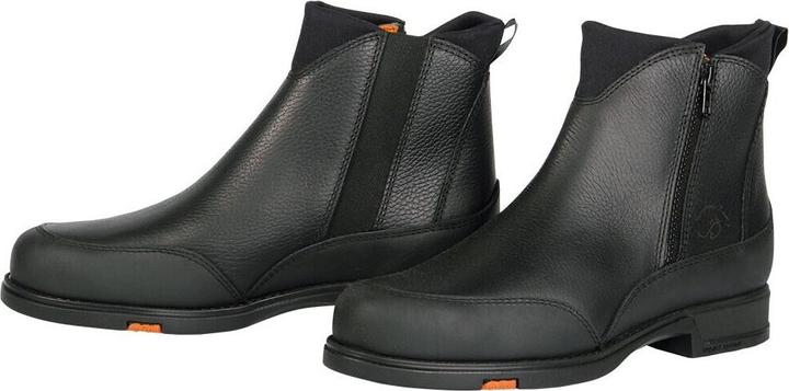 Harry's Horse Liciano