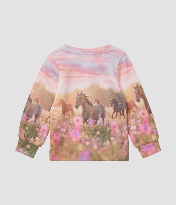 Produktbild s.Oliver Sweatshirt Sweatshirt mit Sublimation-Print (98)