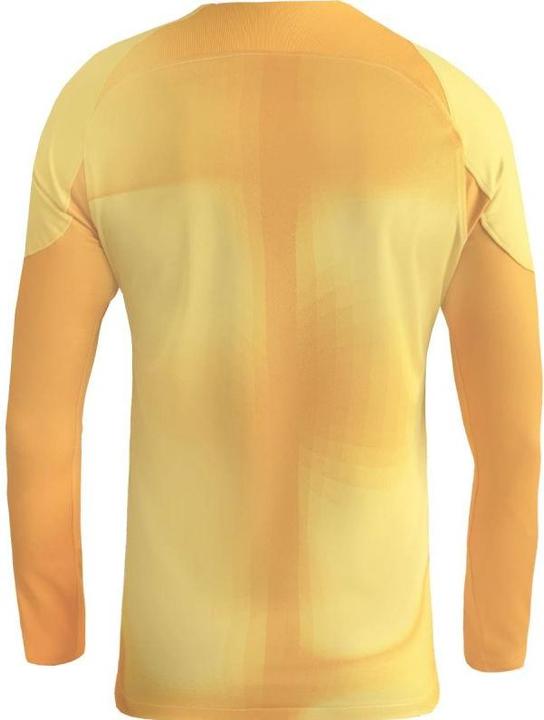 Actual product image Nike Mens Jersey M Nk Dfadv Gardien Iv Gk Jsyls, Tour Yellow/University Gold/Black, DH7967-719, 2XL (XXL)