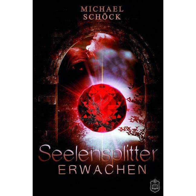Seelensplitter - Erwachen, Belletristik von Michael Schöck