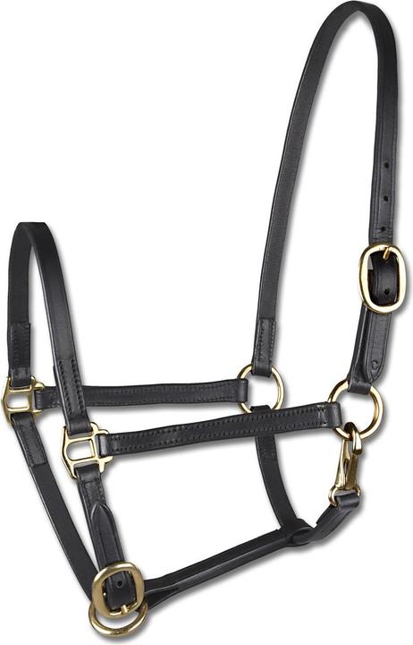 Immagine prodotto Star Bitt para pony in cuoio