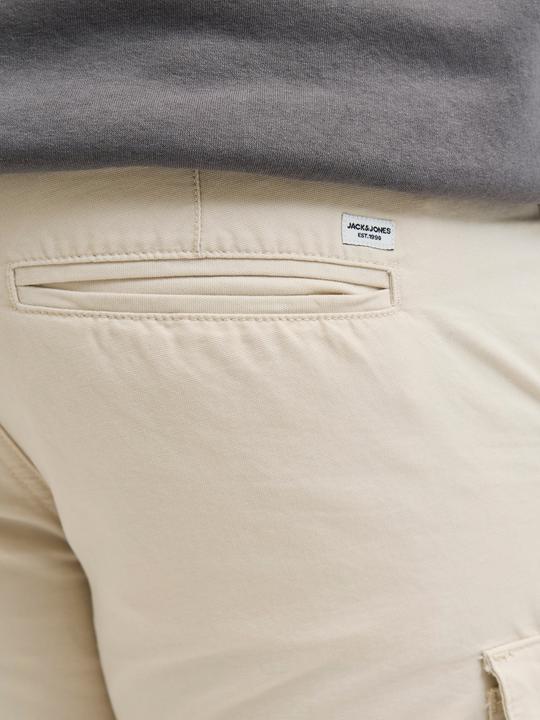 Image du produit Jack & Jones Plus Size Regular Fit Cargo Shorts Cargo Shorts (42)