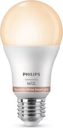 Philips Lampe 100 W A60 E27 (E27)