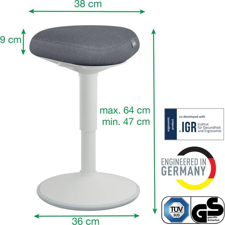 Actual product image Leitz Ergo Active