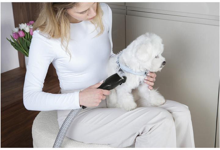 Actual product image BerlingerHaus Haus Staubsauger Pet Black Rose Collection