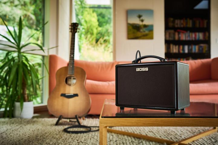 Actual product image BOSS (Electronics) AC- amplificatore acustico 22LX (Guitar, 10 W)