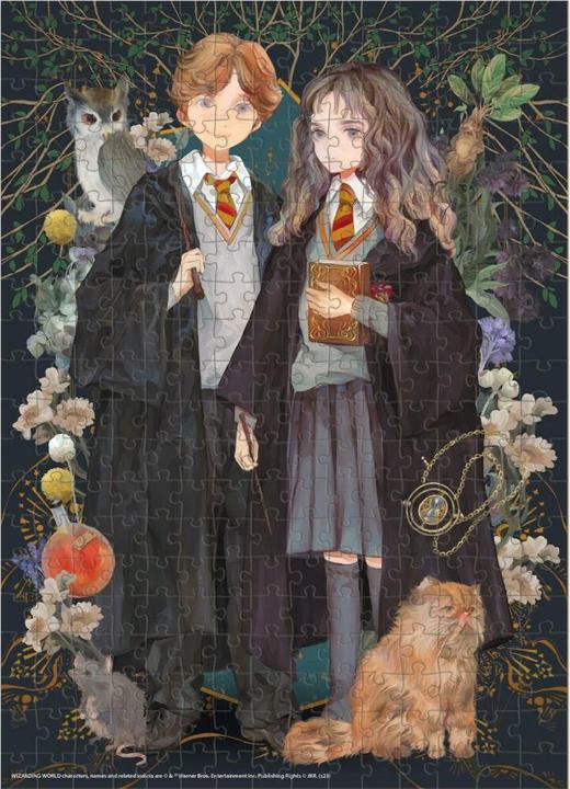 Image du produit Dodo Puzzle - - moyen - Harry Potter - Hermione - Ron (300 pièces)