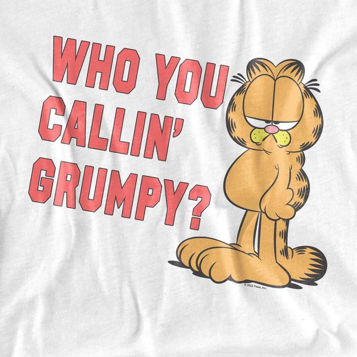 Produktbild Garfield Who You Callin Grumpy TShirt (S)
