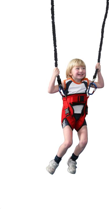 Actual product image Sport-Thieme Bungee swing XTENSi