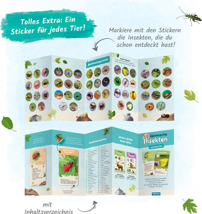 Actual product image 55 flashcards native insects